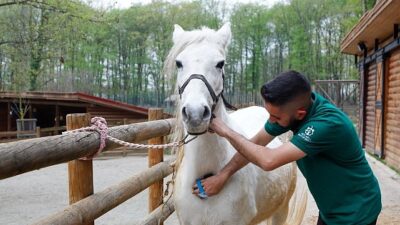 Bayramda tabiatın kalbi Ormanya’da atacak