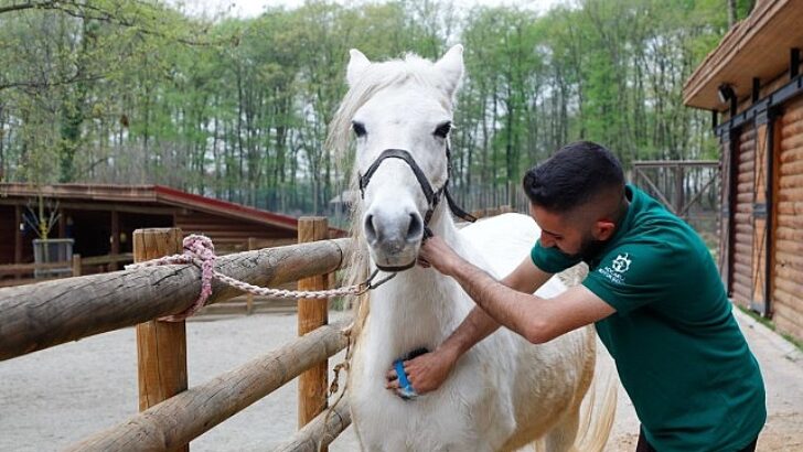 Bayramda tabiatın kalbi Ormanya’da atacak
