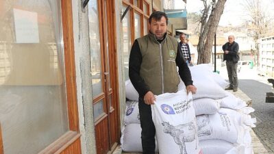 Büyükşehir’in üreticilere yem dayanağı sürüyor