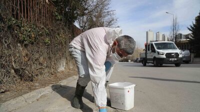 Çankaya Belediyesi Takımları ilaçlama mesaisinde kent zararlılarına kaynağına tahlil