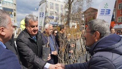 Edremit Belediyesi’nden Orman Haftası’nda fiyatsız fidanı dağıtımı