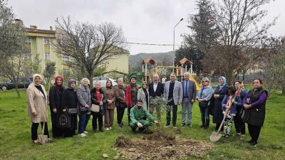 Gölcük’te Orman Haftasında Zeytin Ağaçları Toprakla Buluştu