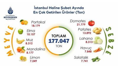 İstanbul’da şubat ayında portakal ve domates zirvede