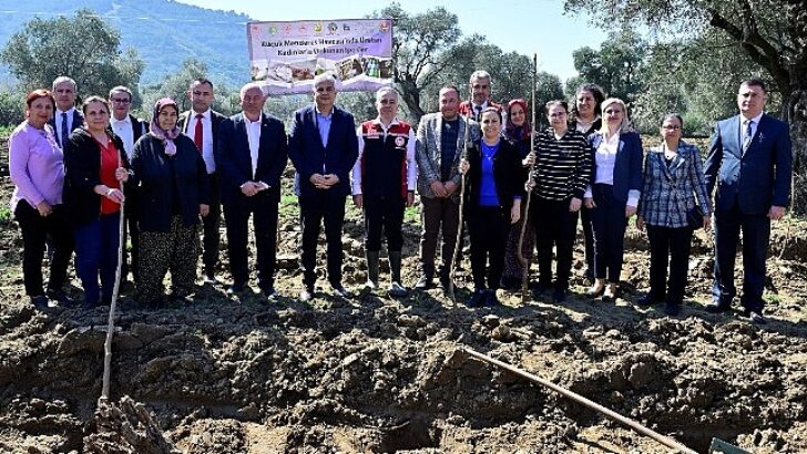 İzmir’de Bayan Çiftçilere Dayanak: Dut Fidanları Toprakla Buluştu!