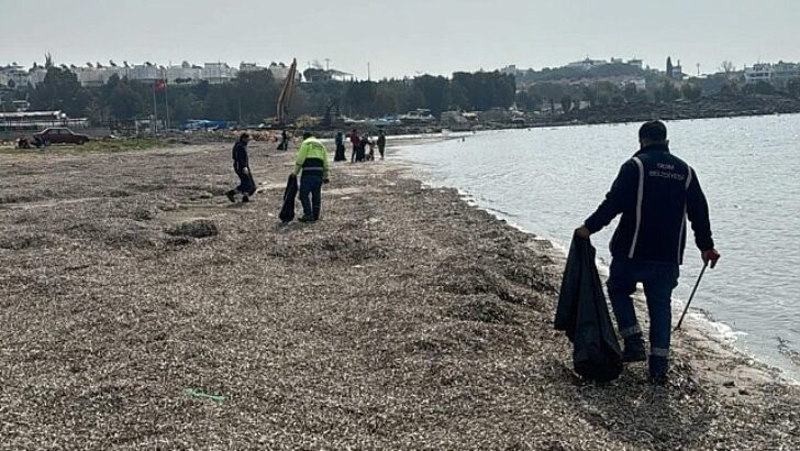 Mavişehir Kıyısı’nda Ayrıntılı Paklık Çalışması Yapıldı