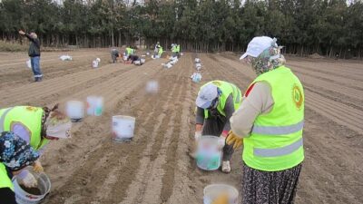 OGM’den teşebbüsçü orman köylüsü bayanlara 64 milyon TL takviye