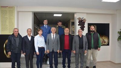 Salihli zeytinyağı için coğrafik işaret hazırlığı