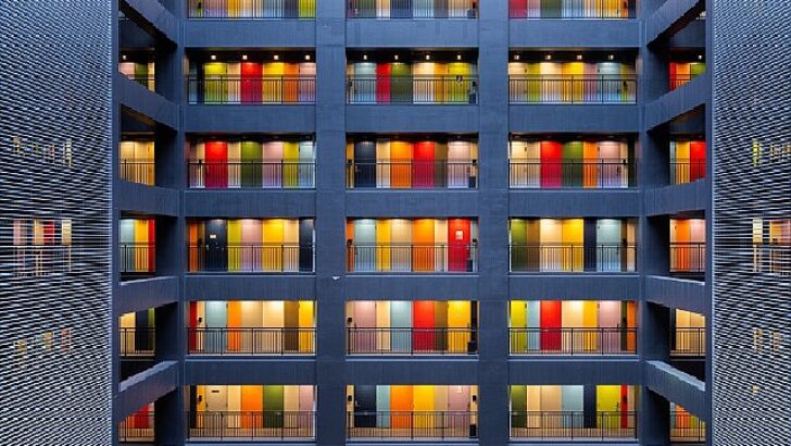 Sony dünya fotoğraf ödülleri: açık yarışma kategori kazananları ve kısa listeler belirlendi