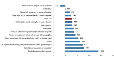 Tarım Eserleri Üretici Fiyat Endeksi, Şubat 2025
