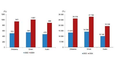 Tüik: Mevsimlik tarım çalışanlarının ortalama günlük fiyatları 2024 yılında %84,2 arttı