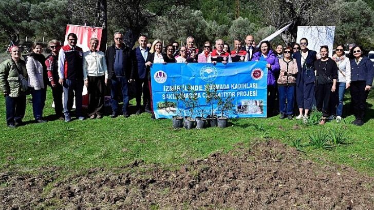 Yarımada Bayanları Sakız Ağacına Can Katıyor