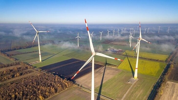 YEO Teknoloji ve Enerjisa’nın stratejik birlikteliği güçlenerek büyüyor