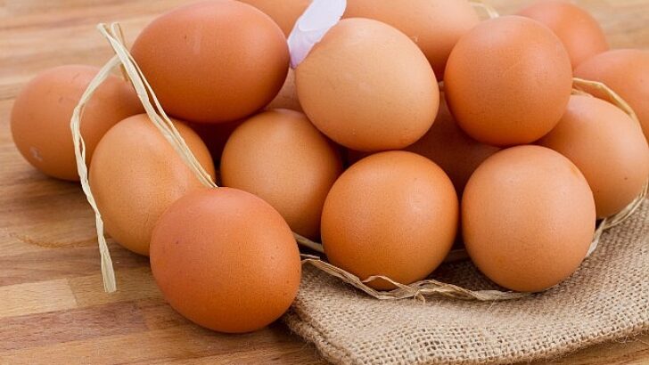 Yumurtaya getirilen 1,5 dolar fon çabukla alınmış ihracatı durduracak bir karar