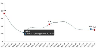 Ziraî Girdi Fiyat Endeksi, Ocak 2025