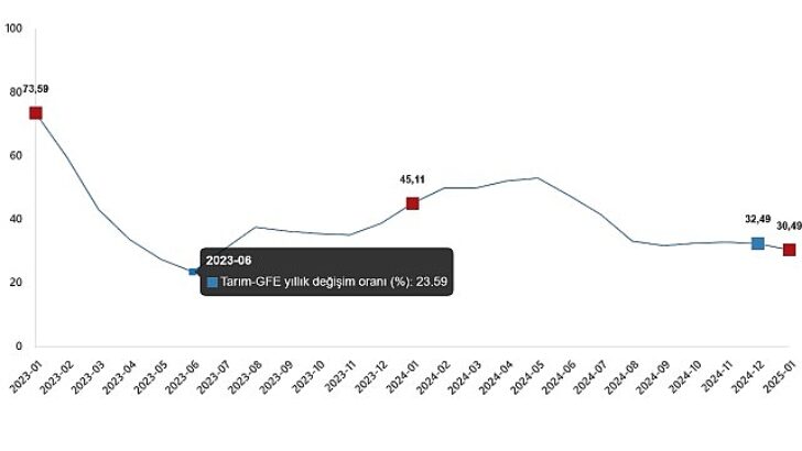 Ziraî Girdi Fiyat Endeksi, Ocak 2025
