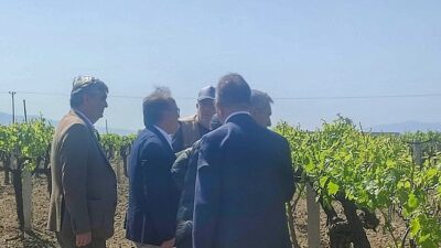 Büyükşehir’den Don Ziyanına Uğrayan Üreticilere Dayanak