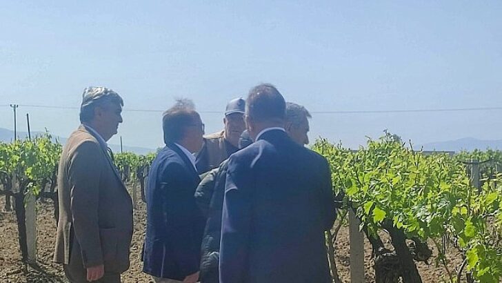Büyükşehir’den Don Ziyanına Uğrayan Üreticilere Dayanak