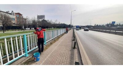 Büyükşehir’den kente estetik dokunuş