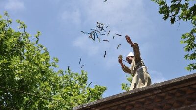 Festival’in Renkleri Fotoğraf Karelerinde Hayat Bulacak