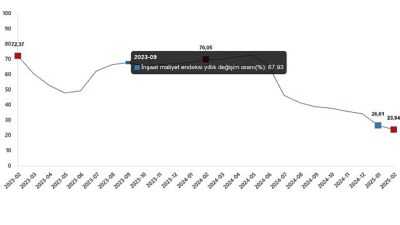 İnşaat Maliyet Endeksi, Şubat 2025