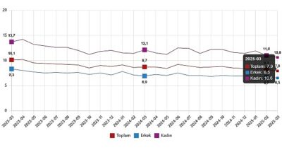 İşgücü İstatistikleri, Mart 2025