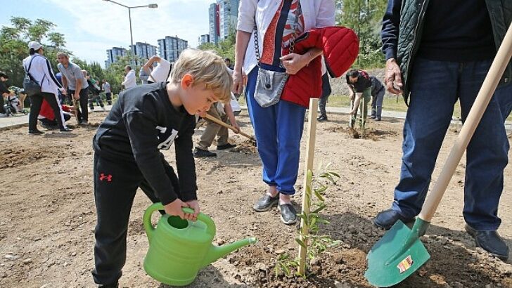 Karşıyaka’da zeytin fidanları toprakla buluştu
