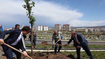 Minik Meleklerin Mezarlarında Manalı Düzenleme