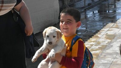 Minik Öğrencilerden, Patili Dostlarımıza Ziyaret