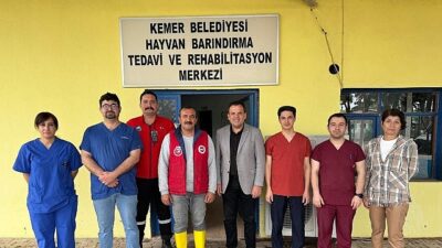 Satın alma sahiplen