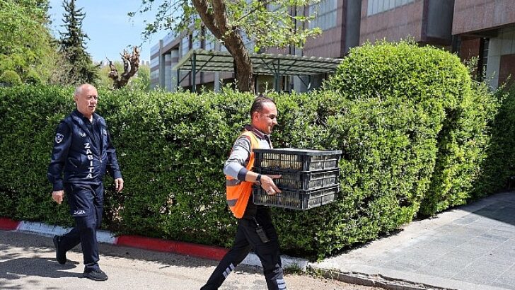 Şehirlerarası Otobüs Terminalinde yöntemsiz formda taşınan 300 civciv yakalandı