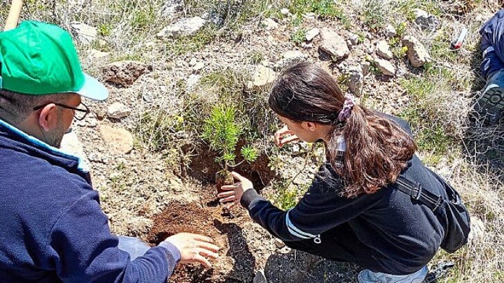 Selçuklu’da Yeşil Doku Güçlenmeye Devam Ediyor