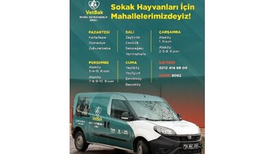 “Vetbak” patili dostların yanında olmaya devam ediyor