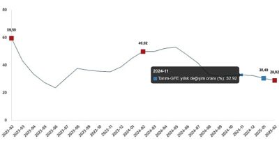 Ziraî Girdi Fiyat Endeksi, Şubat 2025