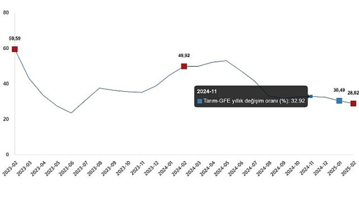 Ziraî Girdi Fiyat Endeksi, Şubat 2025