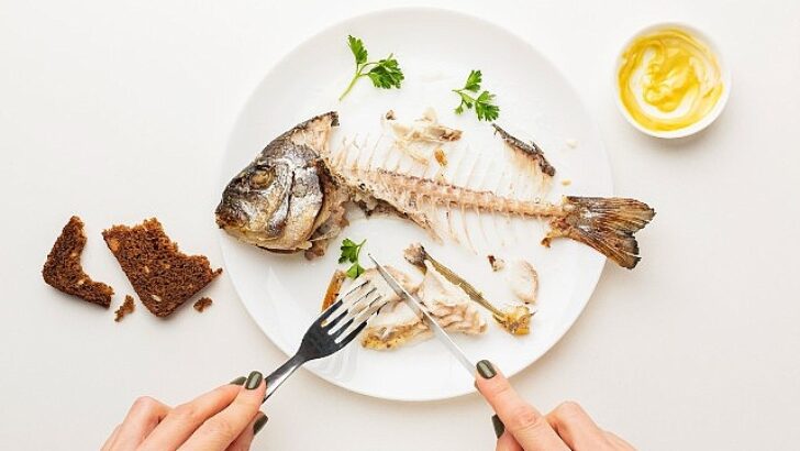 Balık keyfiniz kabusa dönüşmesin!