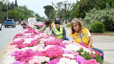 Başkan Çerçioğlu Efeler’i Bahar Çiçekleri ile Süsledi