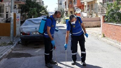 Buca’da Haşere ve Zararlılara Karşı İlaçlama Seferberliği