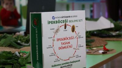 Büyükşehir çocukları ipekböceği ile tanıştırıyor