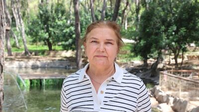 Büyükşehir’den çocuklara özel kaplumbağa aktifliği