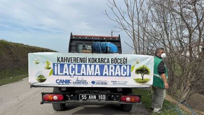 Canik’te Kokarca Böceğine Karşı Çabada Atak