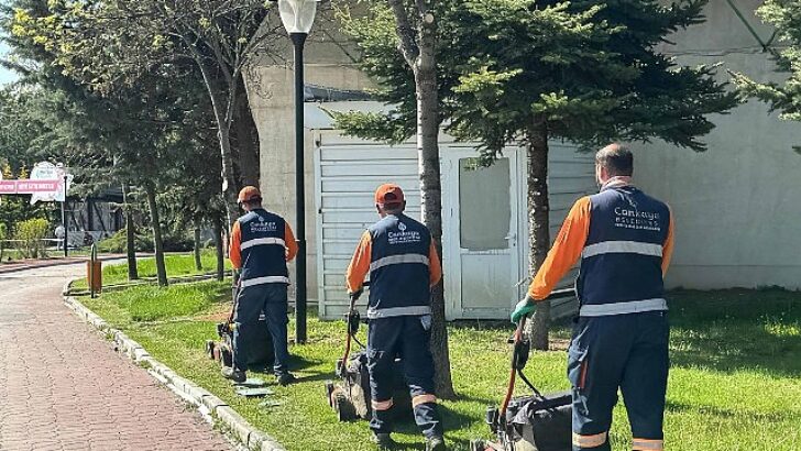 Çankaya Parklarında Bakım ve Tamir Mesaisi