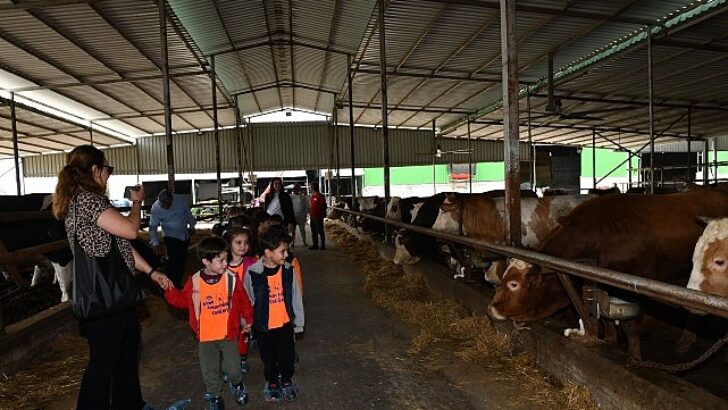 Çiğli Belediyesi’nden çocuklara tabiat ve hayvanlarla iç içe unutulmaz bir gün