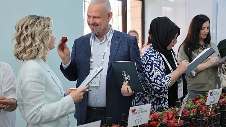 Emiralem Çilek Şenliği rekor kırdı: milyonu geçti!