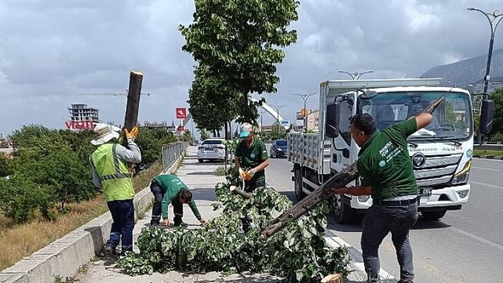 Fırtınanın Ziyan Verdiği Ağaçlar Kaldırıldı