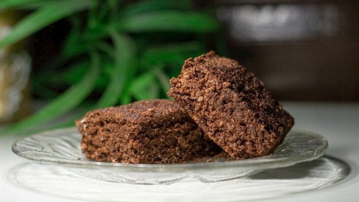 Fit Brownie