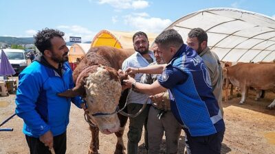 Gaziemir’de kurban satış yerlerinde sıkı kontrol