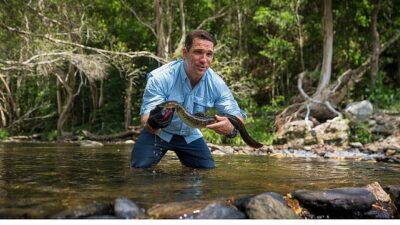 ‘Hayatta Kalma Ustaları’, Mayıs Ayı Boyunca Her Pazar İki Kısım Arka Arda 20.00’de National Geographic WILD Ekranlarında!