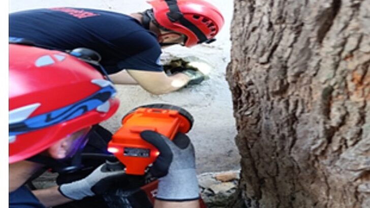 İzmir İtfaiyesi havalandırma bacasına sıkışan kediyi kurtardı