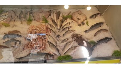 İzmir’de Su Ürünleri Denetimlerinde Ceza Yağdı: Yasa Dışı Avcılığa Geçit Yok