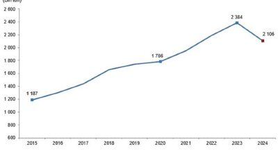 Kırmızı Et Üretim İstatistikleri, 2024